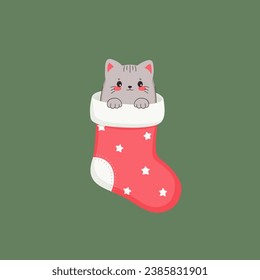 Cute cat in a Christmas sock. Vector illustration.