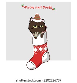 Cute cat in christmas socks. Draw illustration cat in Christmas Sock for Christmas day and New year. Vector illustration, flat style.