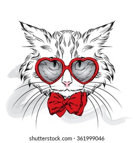 Cute cat in the clothes. Hipster. Vector illustration for greeting card, poster, or print on clothes.