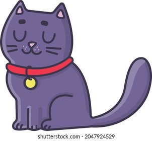Cute cat in a collar