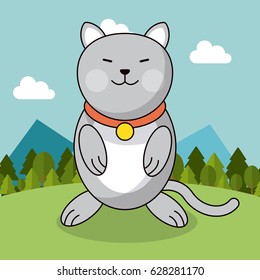 cute cat with collar adorable landscape natural
