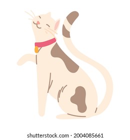 cute cat with collar isolated