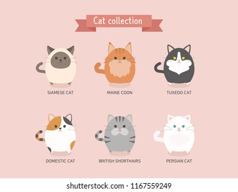 Cute cat collection