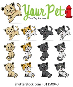 Cute cat collection set on a white background