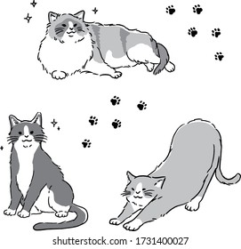 
Cute cat color illustration set