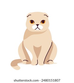 Lindo concepto de gato. Adorable animal doméstico sentado. Orejas de lazo blanco mascota británica. Hermoso gatito se para. Plantilla y disposición. Ilustración vectorial plana de dibujos animados aislada sobre fondo blanco