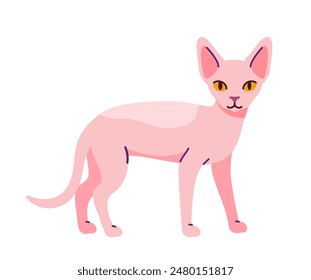 Cute cat concept. Adorabe domestic animal walk. Pink egyptian pet. Lovely kitten posing. Poster or banner for website. Cartoon flat vector illustration isolated on white background