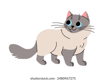 Cute cat concept. Adorable domestic balinese animal walk. Fluffy siamese pet. Lovely kitten stands. Cartoon flat vector illustration isolated on white background