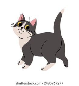 Cute cat concept. Adorable domestic animal walk. Fluffy black and white pet. Lovely kitten stands. Graphic element for website. Cartoon flat vector illustration isolated on white background