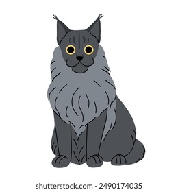 Lindo concepto de gato. Adorable gato de capullo de maine doméstico. Gatito gris plateado mullido sentado. Ilustración vectorial plana de dibujos animados aislada sobre fondo blanco