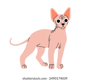 Cute cat concept. Adorable domestic sphynx cat. Pink kitten standing. Cartoon flat vector illustration isolated on white background