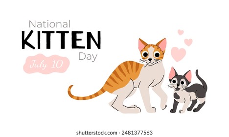 Cute cat concept, national kitten day. Adorable domestic cornish rex cat with kitten. Fluffy orange tabby, black and white cats standing with hearts. Cartoon flat vector illustration