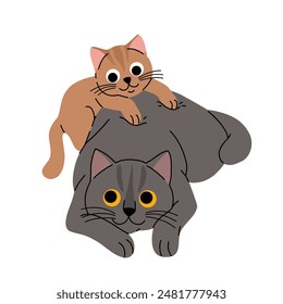 Cute cat concept, national kitten day. Adorable domestic british shorthair cat with kitten. Fluffy grey and creme colored cats lying with hearts. Cartoon flat vector illustration