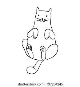 cute cat contour lies
