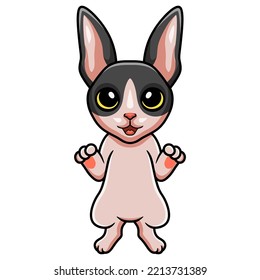 Cute cat cornish rex cartoon