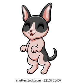 Cute cat cornish rex cartoon