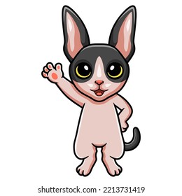 Cute cat cornish rex cartoon waving hand