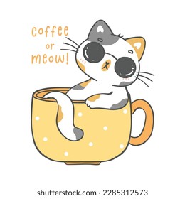 cute cat in cup