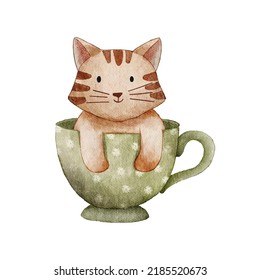 cute cat in a cup watercolor illustration