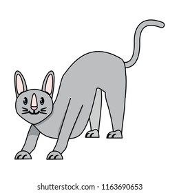 cute cat design