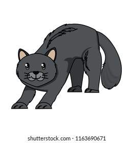 cute cat design