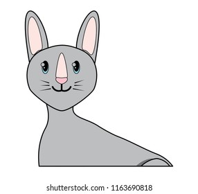 cute cat design