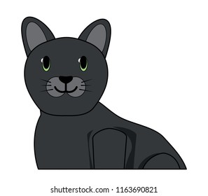 cute cat design