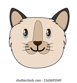 cute cat design