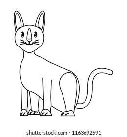 cute cat design