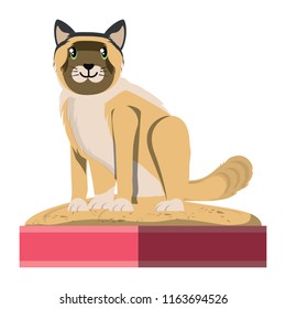 cute cat design