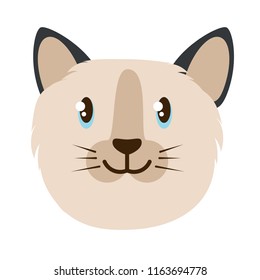 cute cat design