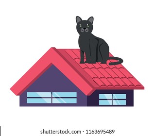 cute cat design