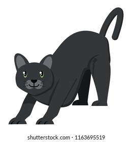 cute cat design