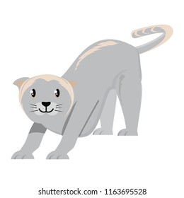 cute cat design