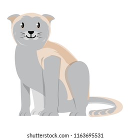 cute cat design