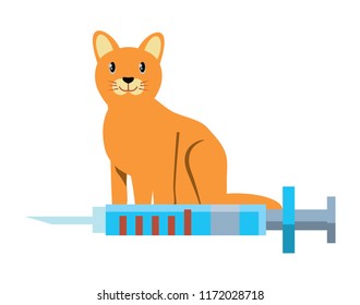 cute cat design