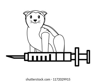 cute cat design