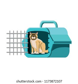cute cat design