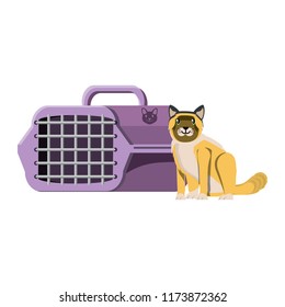 cute cat design