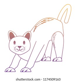 cute cat design