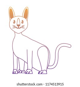 cute cat design
