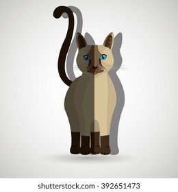 cute cat design 