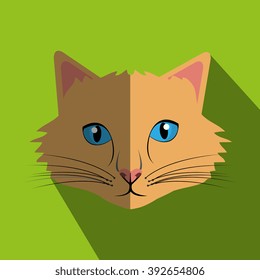 cute cat design 