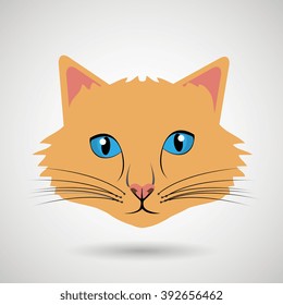 cute cat design 