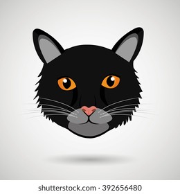 cute cat design 
