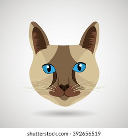 cute cat design 