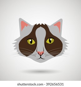 cute cat design 