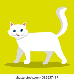 cute cat design 