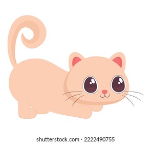 cute cat design over white