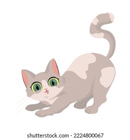 cute cat design over white